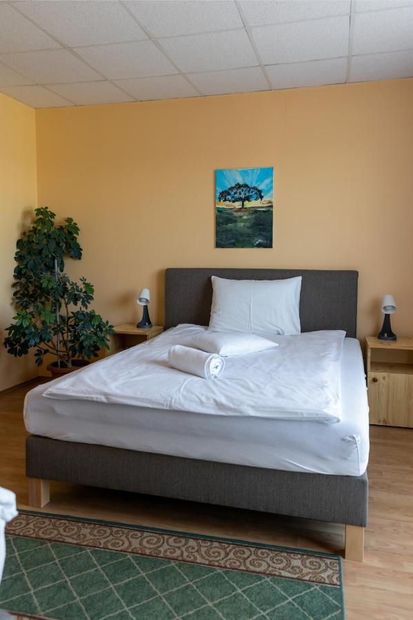 Hotel Betli Panzio à Zalaegerszeg Extérieur photo